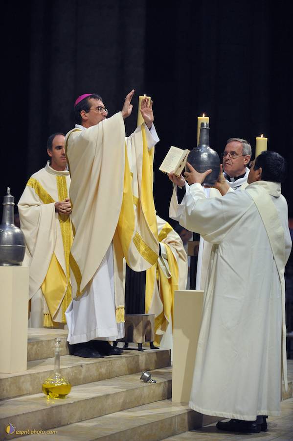 Nom de l'image : D30050463_1_(c)Norbert-JUNG — Description :